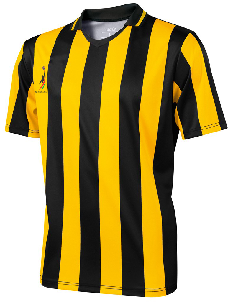 Yellow with Black Stripes Soccer Jersey – Sporting Excellence